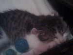 Fotoblog klaudiaaa22