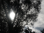Fotoblog sarconnx3
