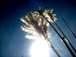 Fotoblog dolka7