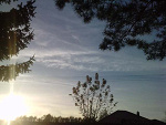Fotoblog aginea