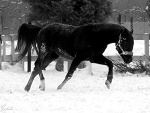 Fotoblog backmost