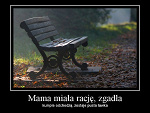 Fotoblog kikkaaa