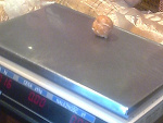 Fotoblog bajdurkaa