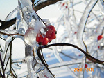 Fotoblog malymarzyciel