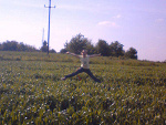 Fotoblog patkanh