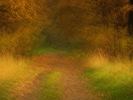 Fotoblog birkut