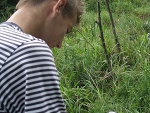 Fotoblog alexanderson