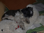 Fotoblog sexb0mb