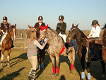 Fotoblog folwarkbulin
