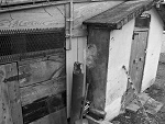 Fotoblog lofeope