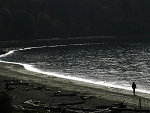Fotoblog panzergott