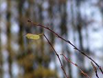 Fotoblog marzycielskafarba