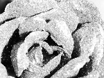 Fotoblog asiatre