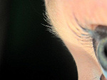 Fotoblog malutka1208