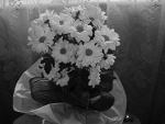 Fotoblog fotograf00