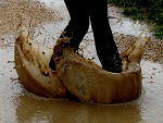 Fotoblog give0me0reason