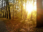 Fotoblog lyricalgirl