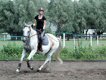 Wpis aldrimer