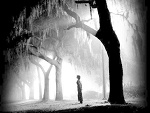 Fotoblog alone1987