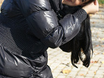 Fotoblog aanettt