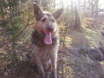 Fotoblog dominiczka2710