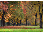 Fotoblog impossiblex