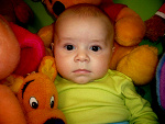 Fotoblog paull94