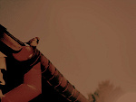 Fotoblog paulolxd