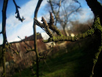 Fotoblog pootrzebujewczorajj
