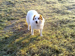 Fotoblog guzik125