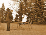Fotoblog fokibrat