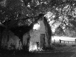 Fotoblog artur347