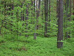 Fotoblog mrloverver