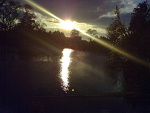 Fotoblog kermitova