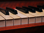 Fotoblog kaczy113