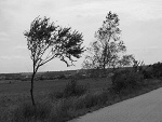 Fotoblog krzyku88