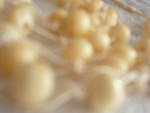 Fotoblog sylwww