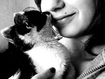 Fotoblog destiny91