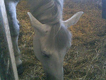 Fotoblog kunegun