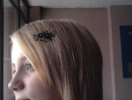 Fotoblog kass40