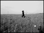 Fotoblog ptysieq