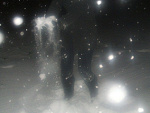 Fotoblog butterfly1410