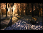 Fotoblog truuskawkoweee