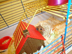 Fotoblog nastka0205