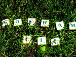 Fotoblog paulinasfotography