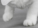 Fotoblog yourworldx3