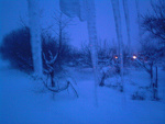 Fotoblog dobitwp