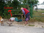 Fotoblog chaopaki