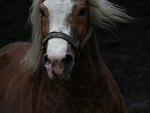Fotoblog karcia88