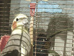 Fotoblog colourfulrainbow